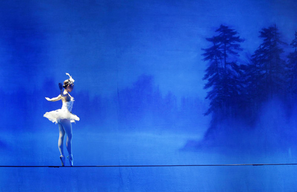 Acrobatic Swan Lake