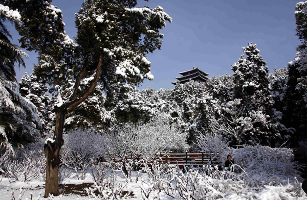 Beijing turns white