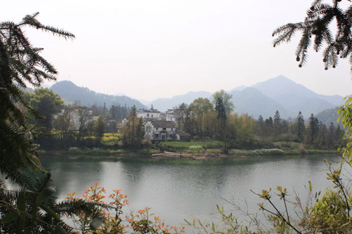 Rape Flowers in Wuyuan