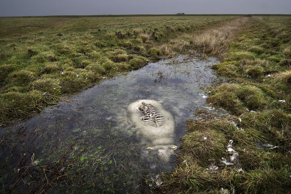 Selected photos from National Geographic Photo Contest