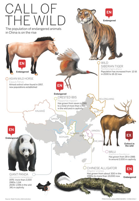 Endangered lists enjoy healthy rises in numbers