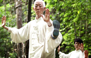 UK woman fulfills tai chi China dream