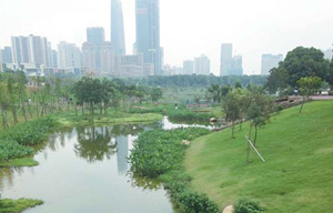 The transformation of the Futian River