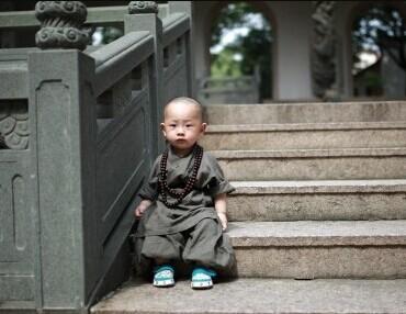 'Little monk' sparks online frenzy