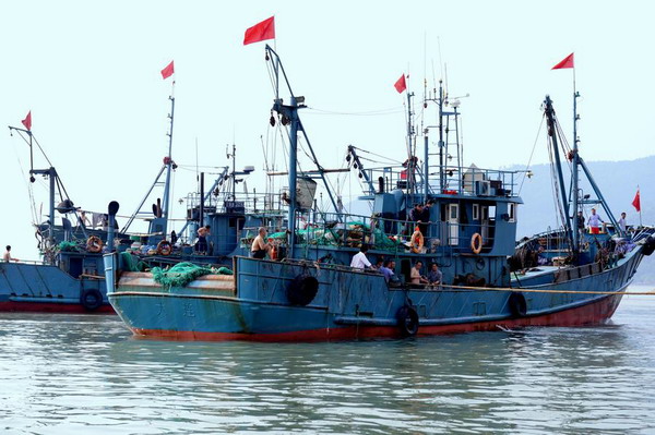 Fujian cracks down on illegal fishing