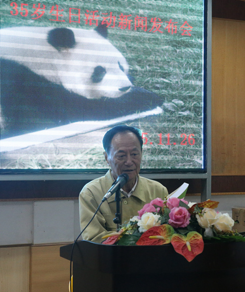 Fuzhou to celebrate 35th birthday of panda Basi