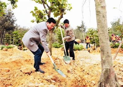 Pingtan plants seedlings for Tree-Planting Day