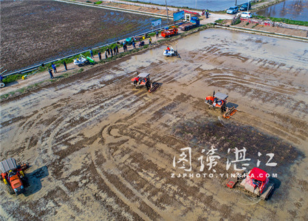 High-tech machinery aids Leizhou's planting season