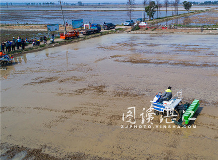 High-tech machinery aids Leizhou's planting season