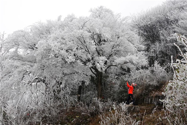 Rime creates unique scenery in Guizhou