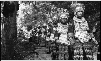 Guizhou residents protect cedar forest