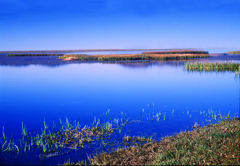 Hengshui Lake International Marathon opens on Sep 22