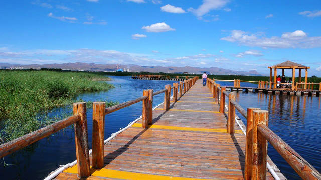 Nanhai Wetland Scenic Area