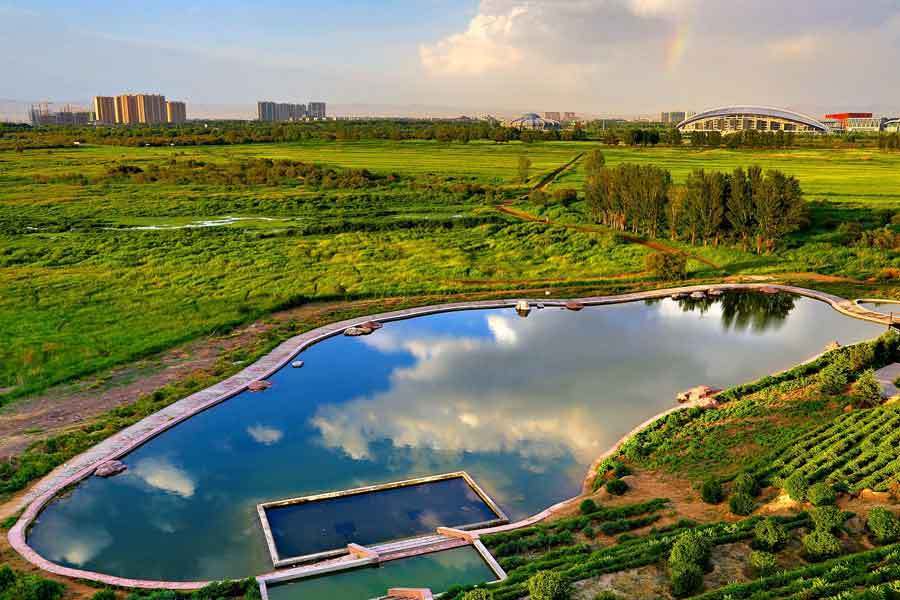 A wetland grassland in Baotou