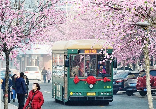 Tourists enjoy retro transport in Hohhot