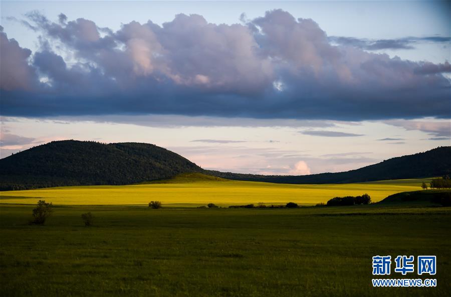 Breathe in the midsummer air on Hulunbuir Prairie