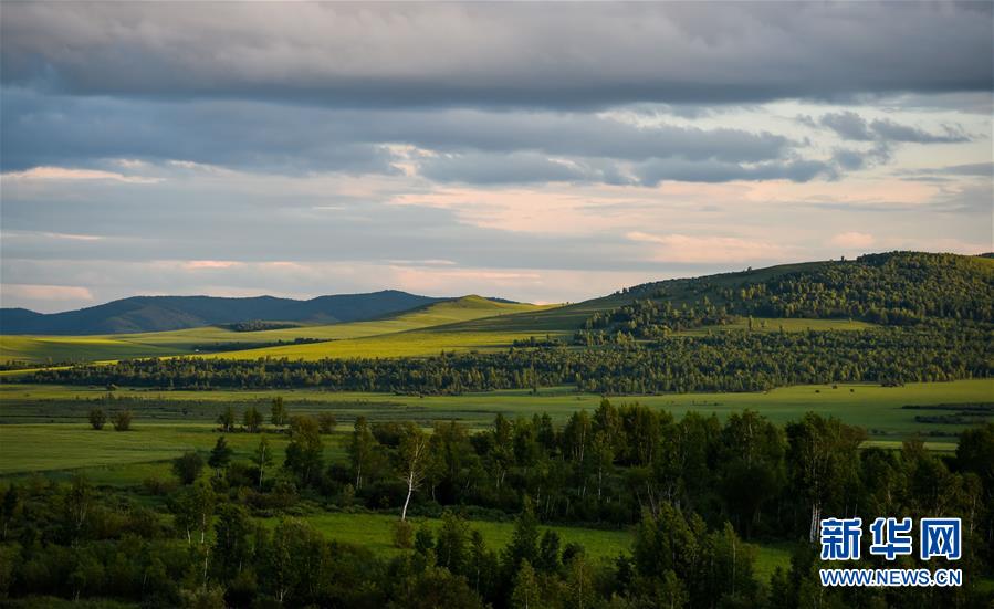 Breathe in the midsummer air on Hulunbuir Prairie