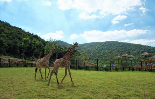 <BR>Wuxi Zoo and Taihu Lake Amusement Park