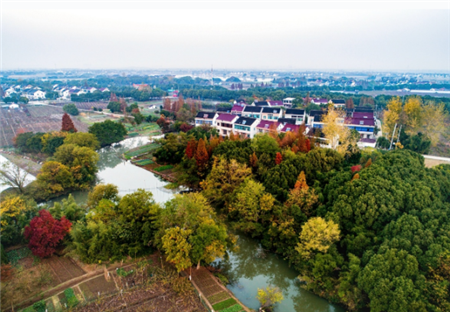 Snapshots of Tangwan Bay in Zhangjiagang