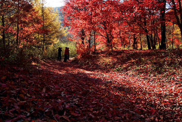 Hongye Valley