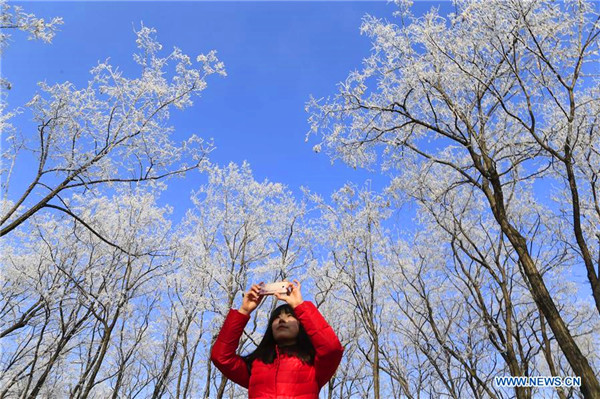 Rime scenery in Jinan, East China