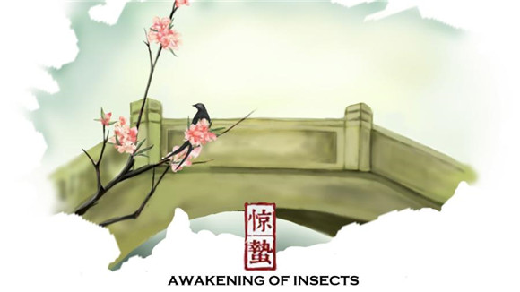 Spring in China sees the 'Awakening of the Insects'