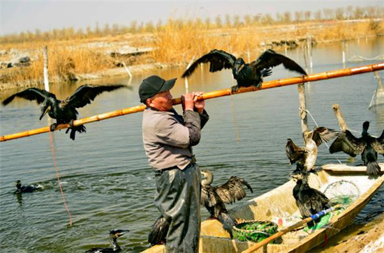 Traditional fishing preserved in Shandong