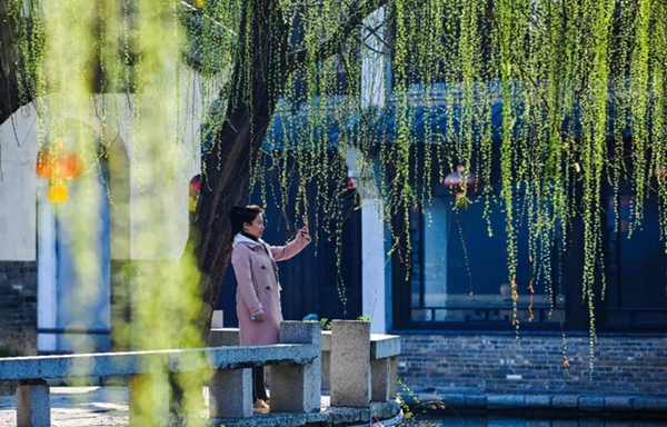 Early spring scenes full of life in Taierzhuang ancient town