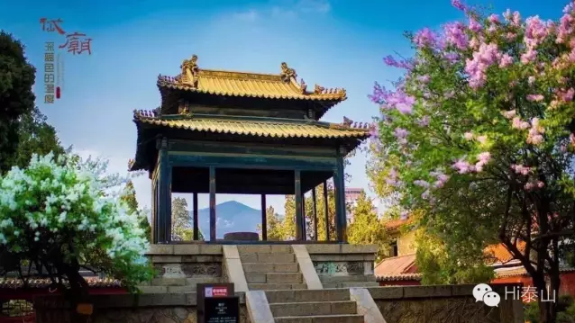 Local photographer documents beauty of Dai Temple