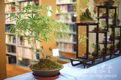 Exhibition highlights China's bamboo culture