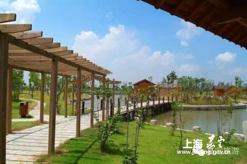 Ideal places to run in Jiading