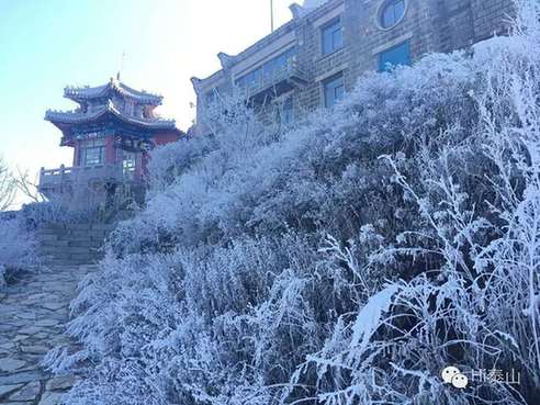 Mount Tai glistens in first frost of winter