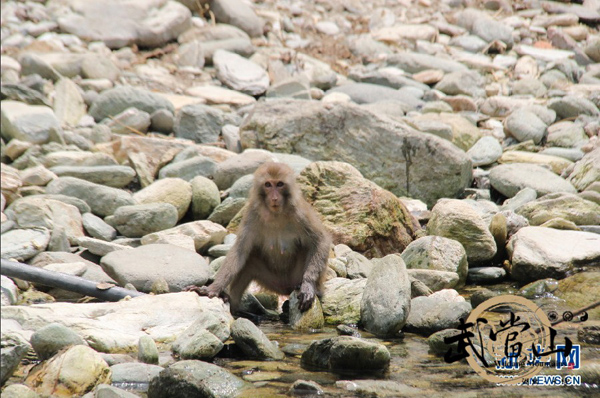 Breathtaking sceneries in the Wudang Mountains