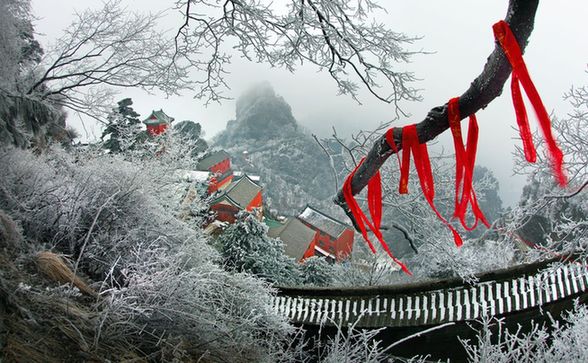 Wudang to open earlier during Spring Festival