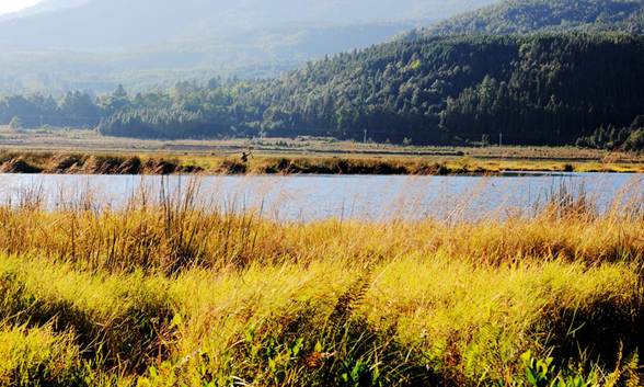 Picturesque scenery of Beihai Wetland