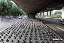 Concrete spikes to repel vagrants?