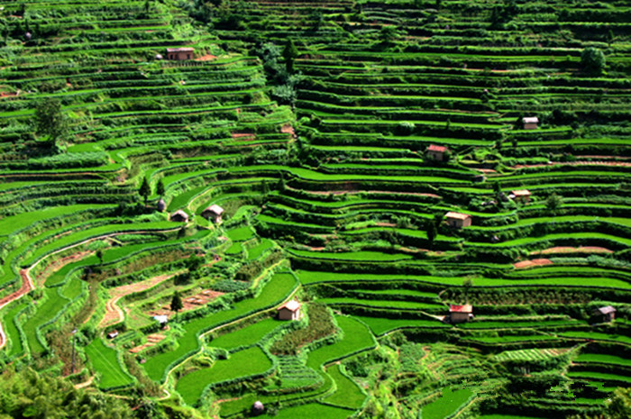 Wuyi County, a city of hot springs