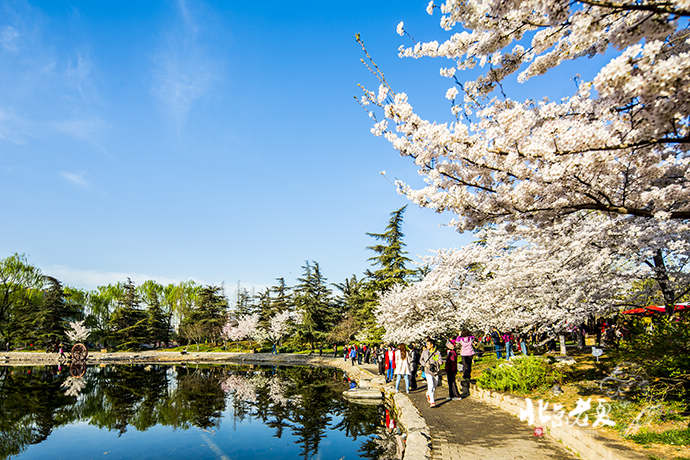 Four seasons in Beijing's parks