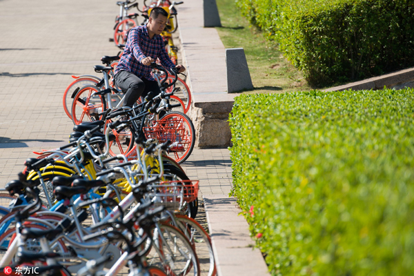 Promising start to managing bike sharing