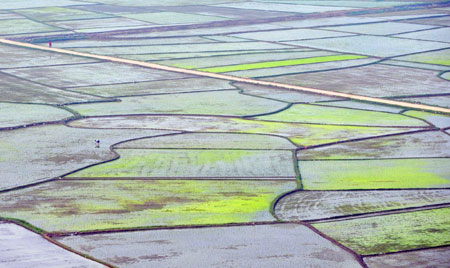 Guangxi relieved from prolonged drought