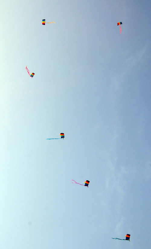 Parachute jumping show at Airshow China 2010