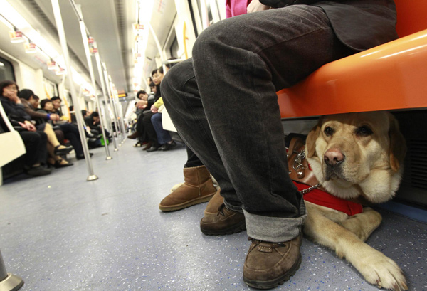 Owners seek a spot for their guide dogs