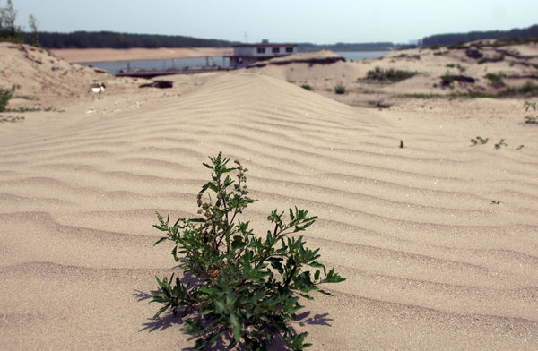 Drought hits Central and East China