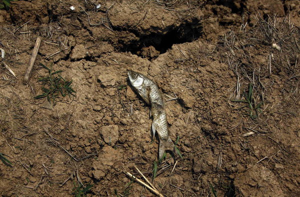 35m affected by severe drought in China