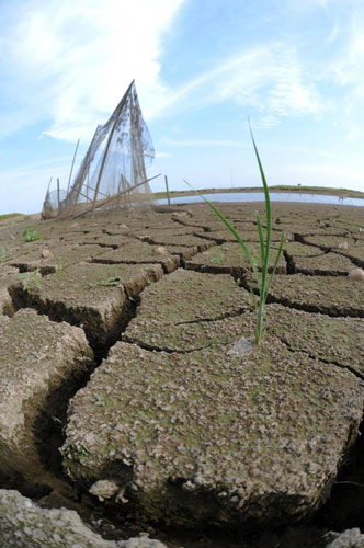 Wetlands becoming dry grassland