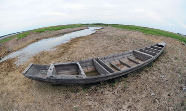 Wetlands becoming dry grassland