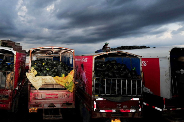 Rain adds to watermelon growers' sales woes