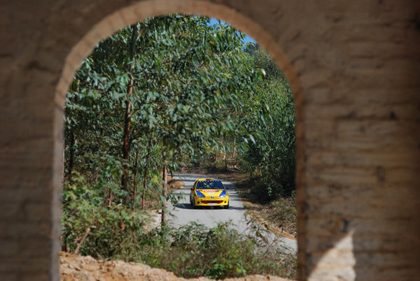 Capturing how cars changing China