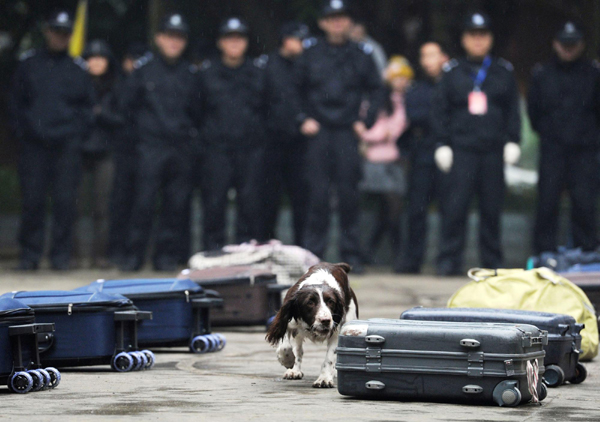 Police dogs prepare for festival