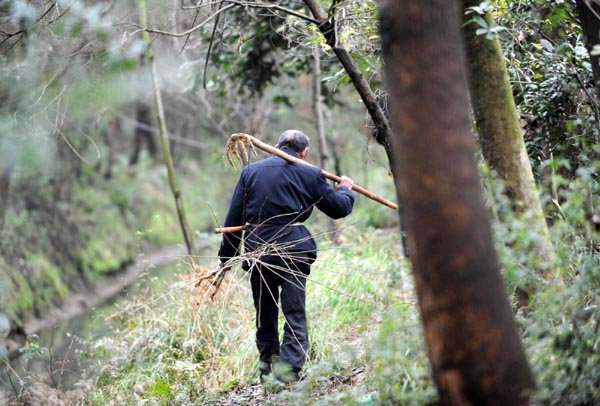 91-year-old plants 570,000 trees over 40 yrs